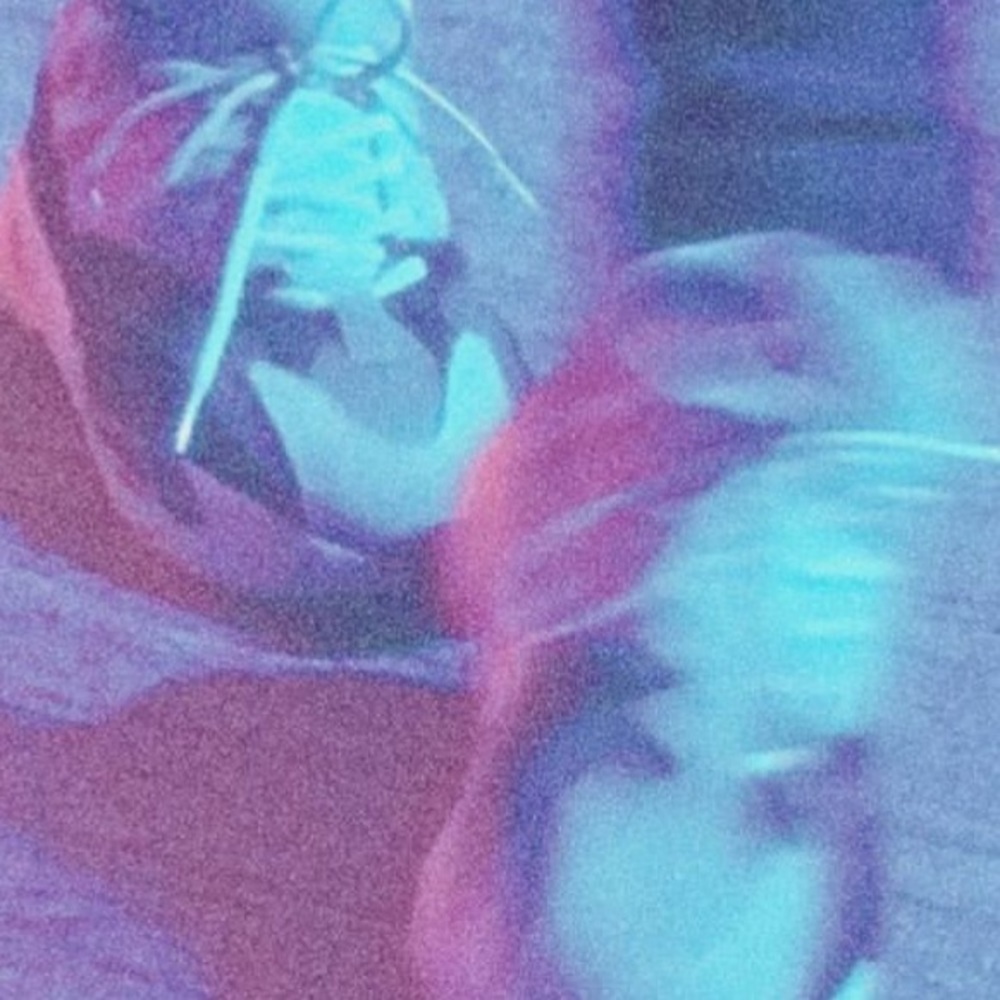 Meet your Posher, Tyler eugenio